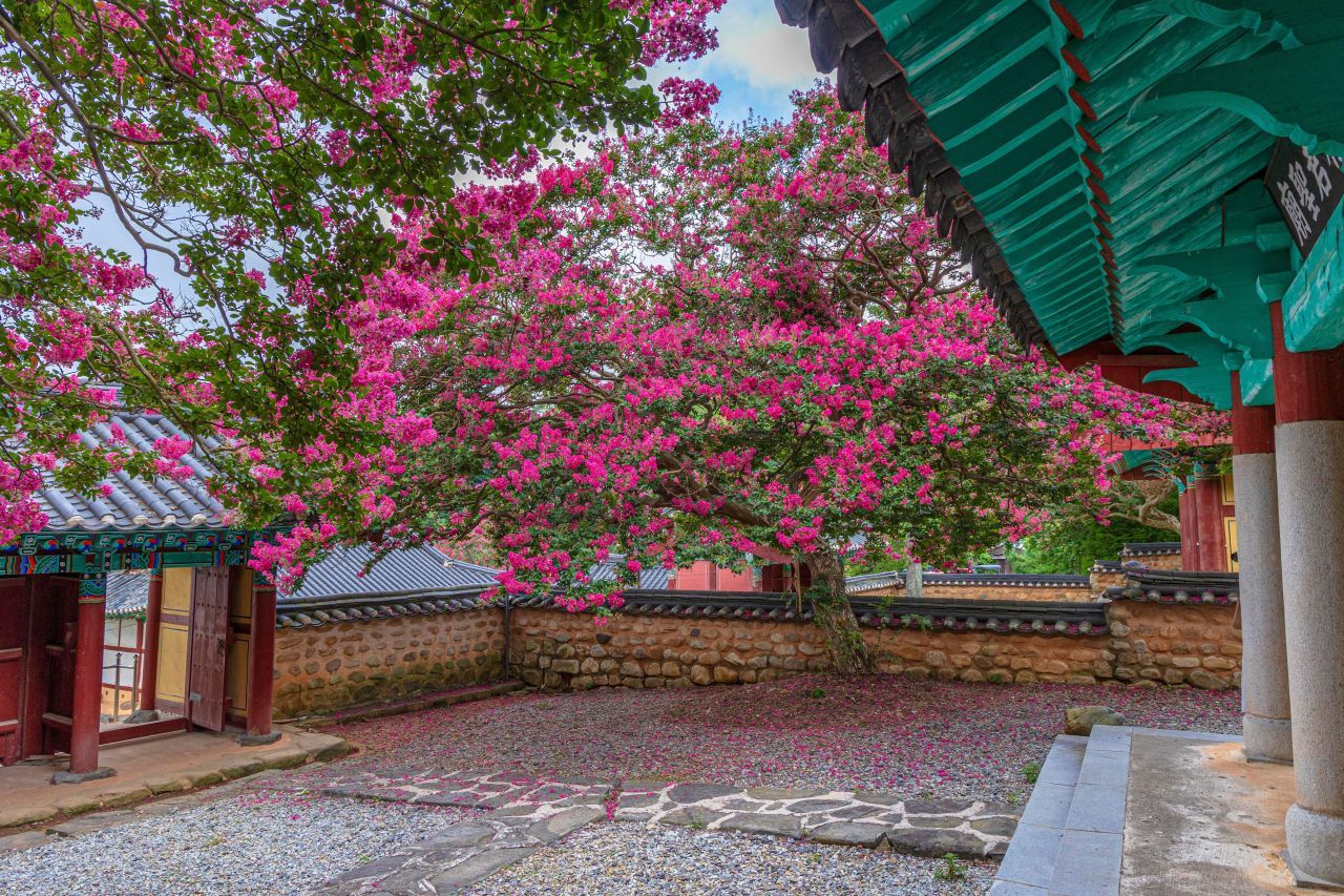 군산 옥구향교 / 한국관광콘텐츠랩-황성훈