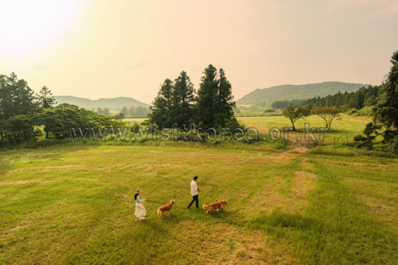 안돌오름 비밀의 숲 / 한국관광콘텐츠랩-라이브스튜디오