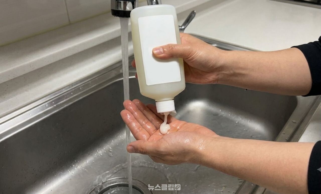 청양고추 손질 / 기사 이해를 돕기 위한 AI 이미지