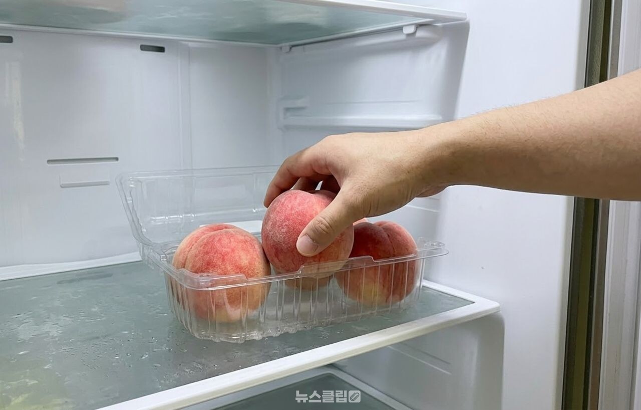 복숭아 계란판 보관 / 기사 이해를 돕기 위한 AI 이미지