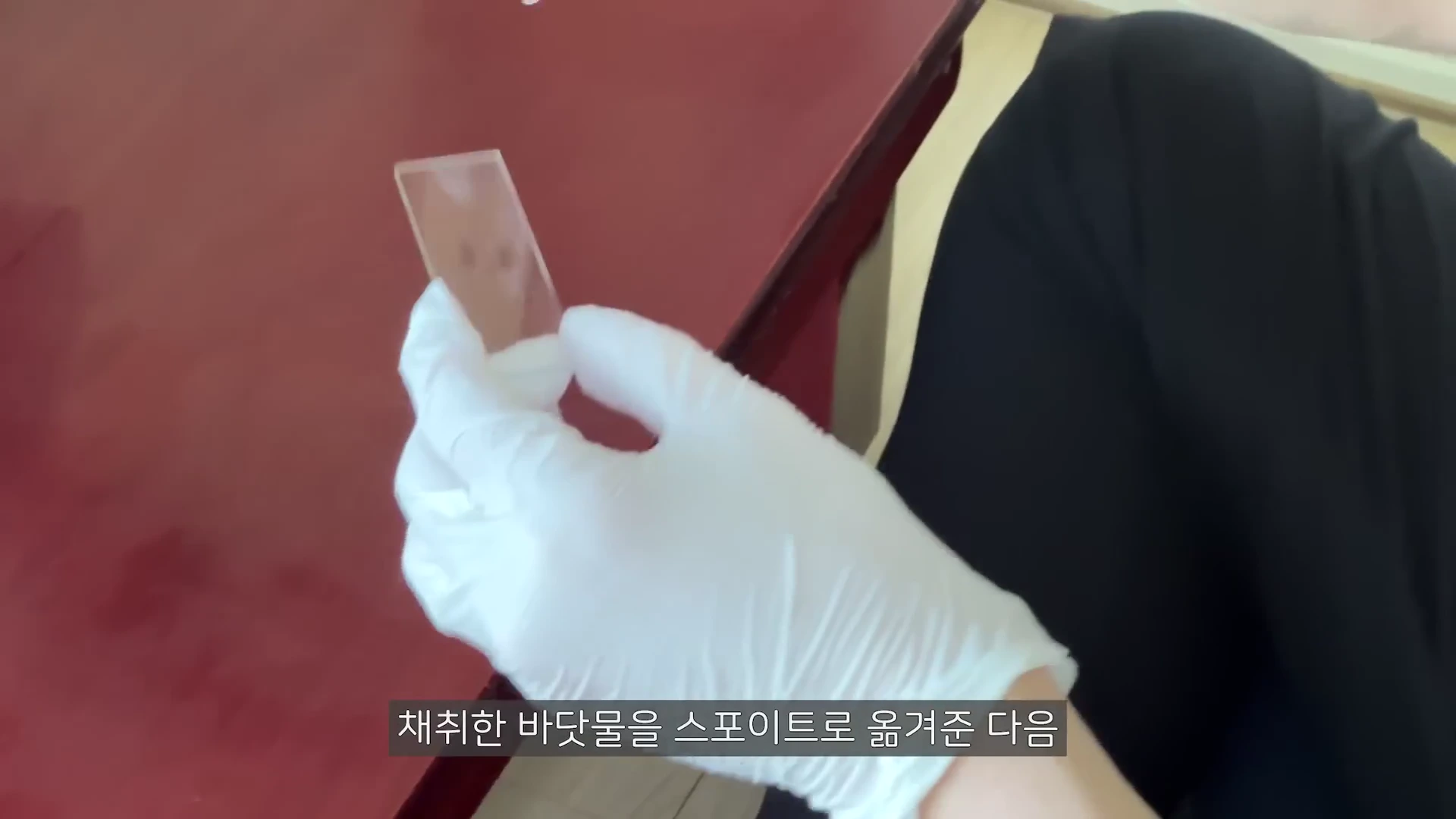 흰색 실험용 장갑을 낀 손이 투명한 유리 슬라이드 조각을 잡고 있는 모습.