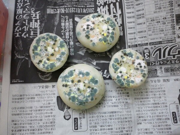 ameblo