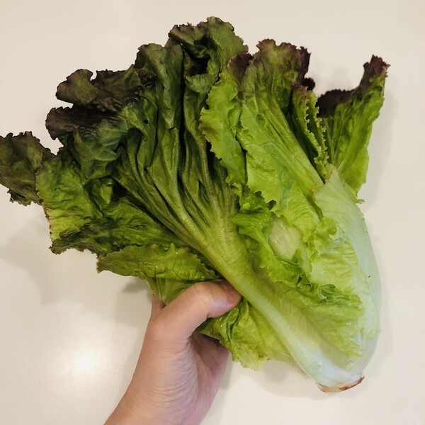 kamaivege