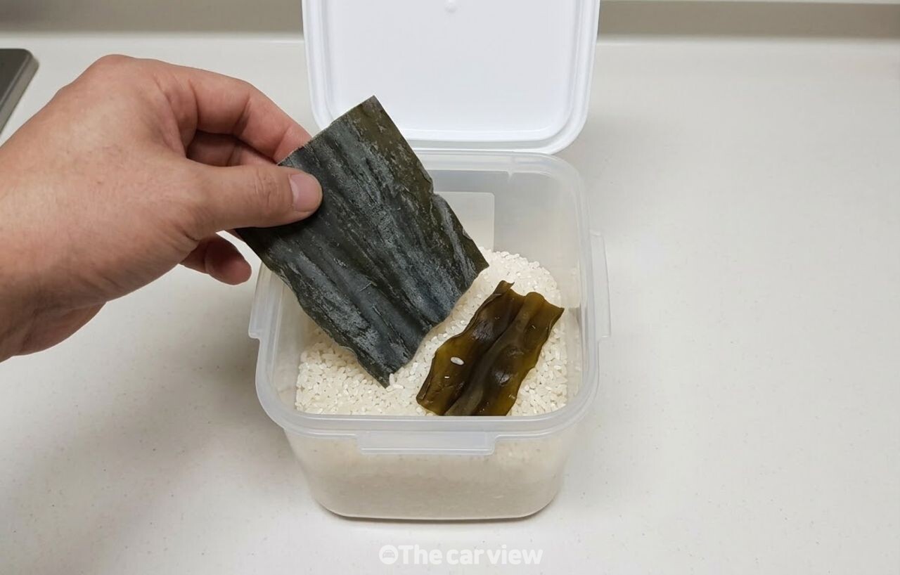 쌀통 다시마 / 기사 이해를 돕기 위한 AI 이미지