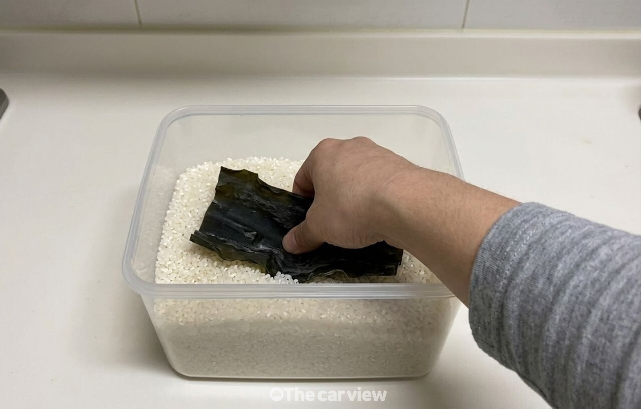 쌀통 다시마 / 기사 이해를 돕기 위한 AI 이미지