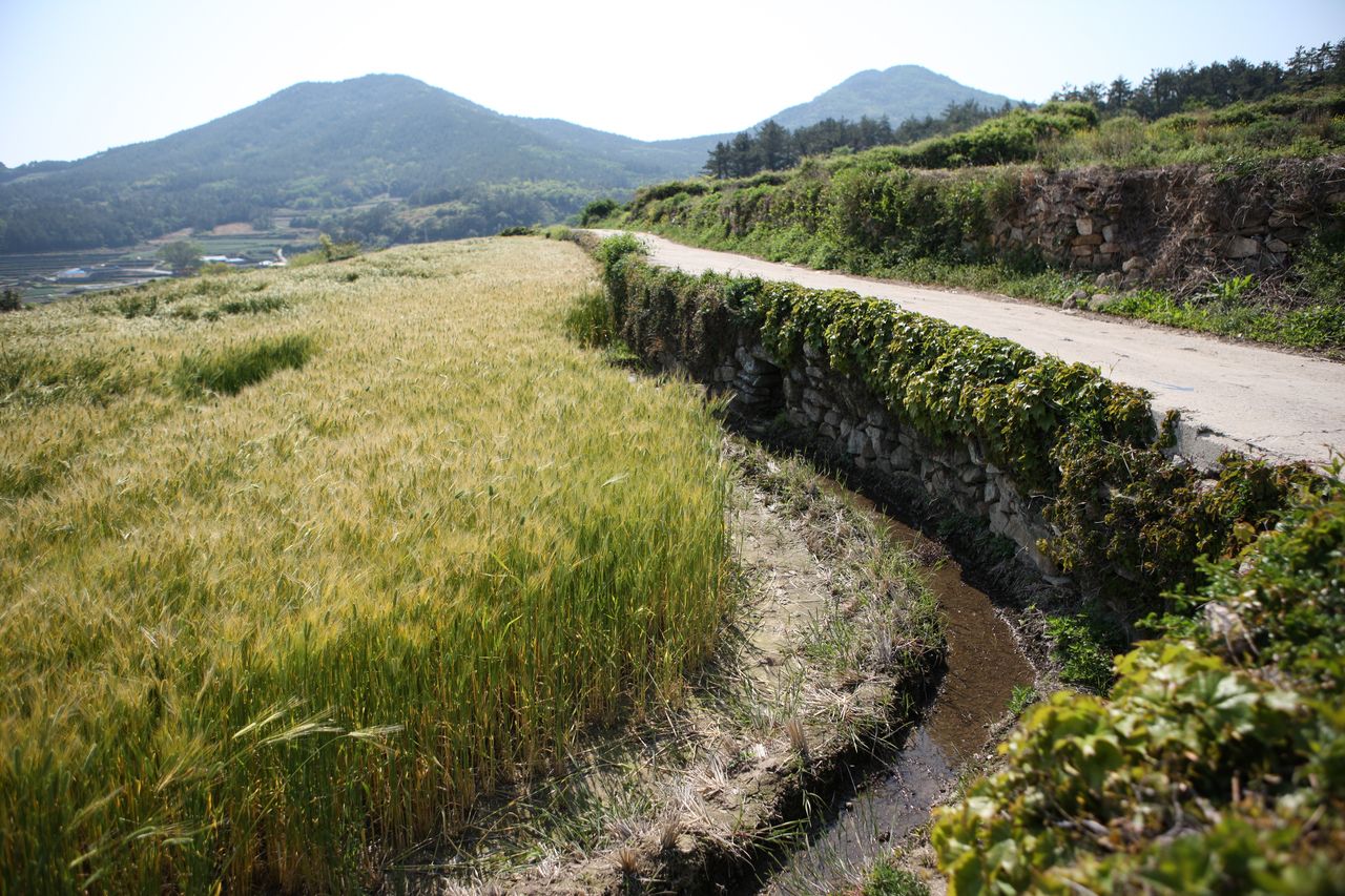 청산도 / 한국관광콘텐츠랩-김지호
