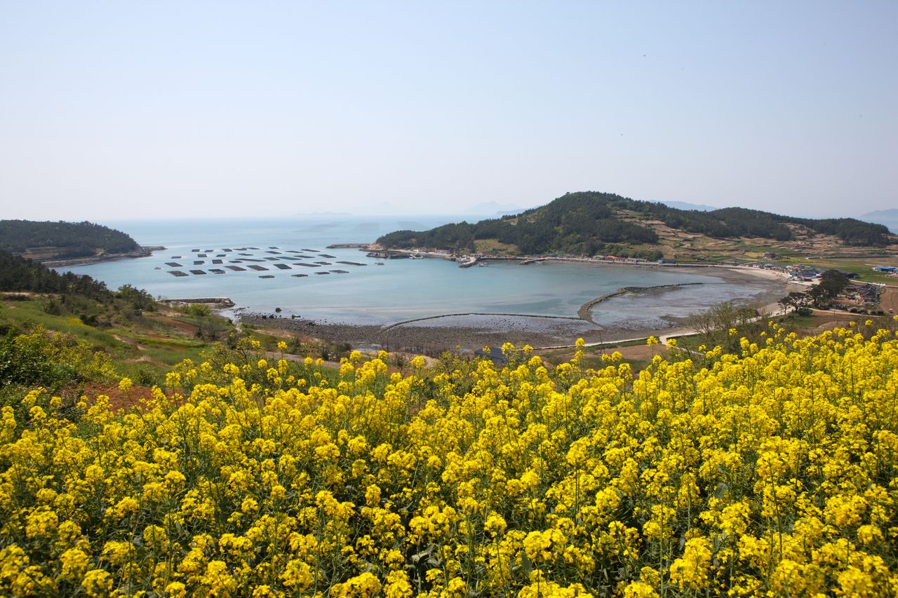 청산도 / 한국관광콘텐츠랩-김지호