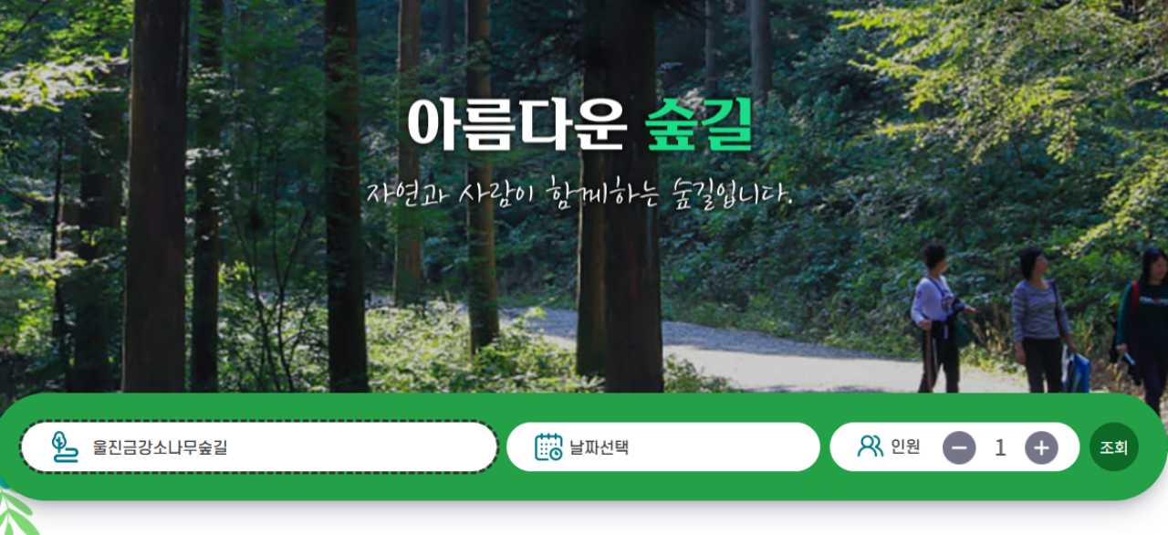 5숲 나들e 울진 금강소나무숲길 예약 / 숲나들e 캡처
