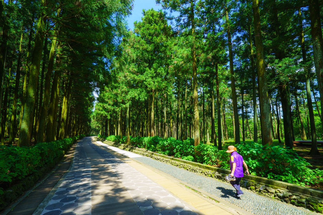 제주절물자연휴양림 / 한국관광콘텐츠랩-김지호