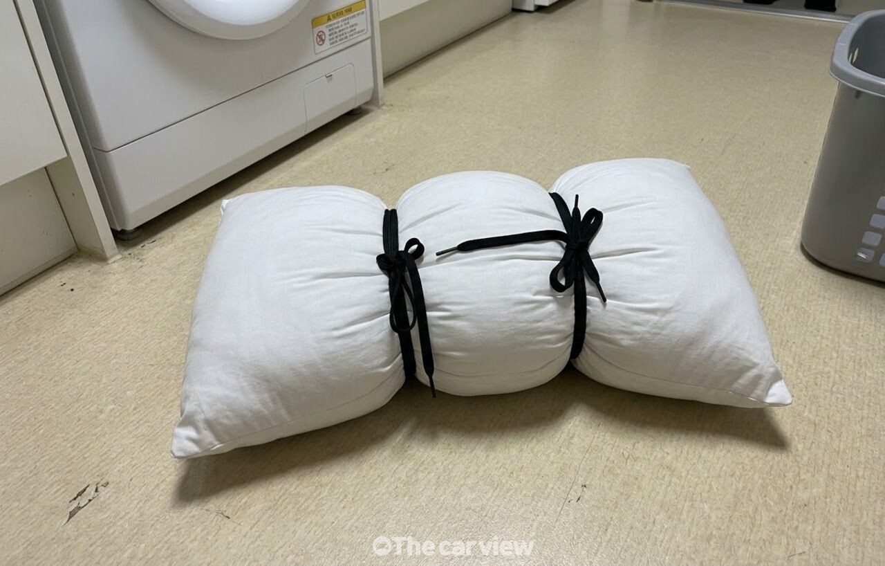 솜베개 빨래 / 기사 이해를 돕기 위한 AI 이미지