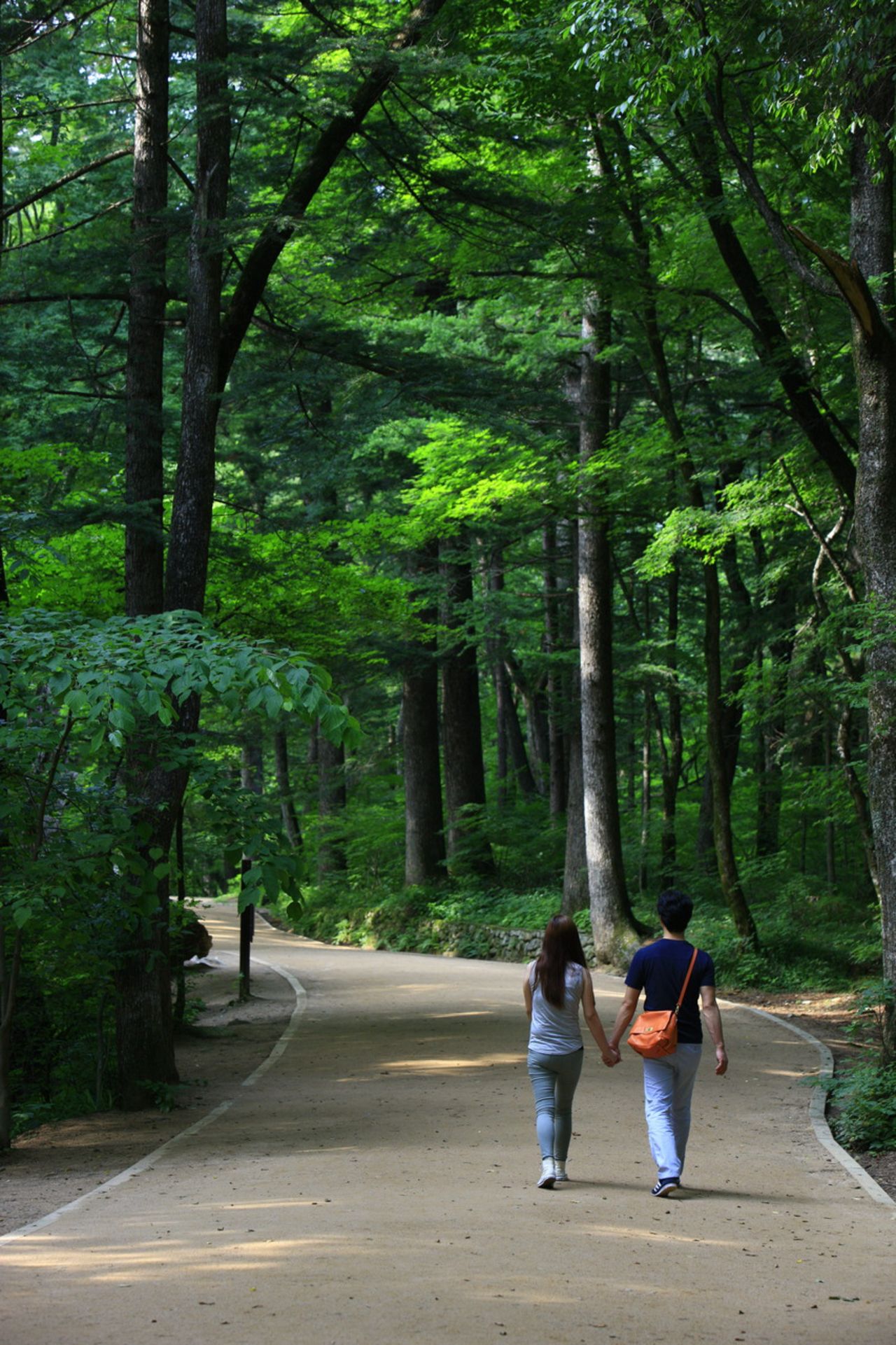 평창 월정사 / 한국관광콘텐츠랩-김지호