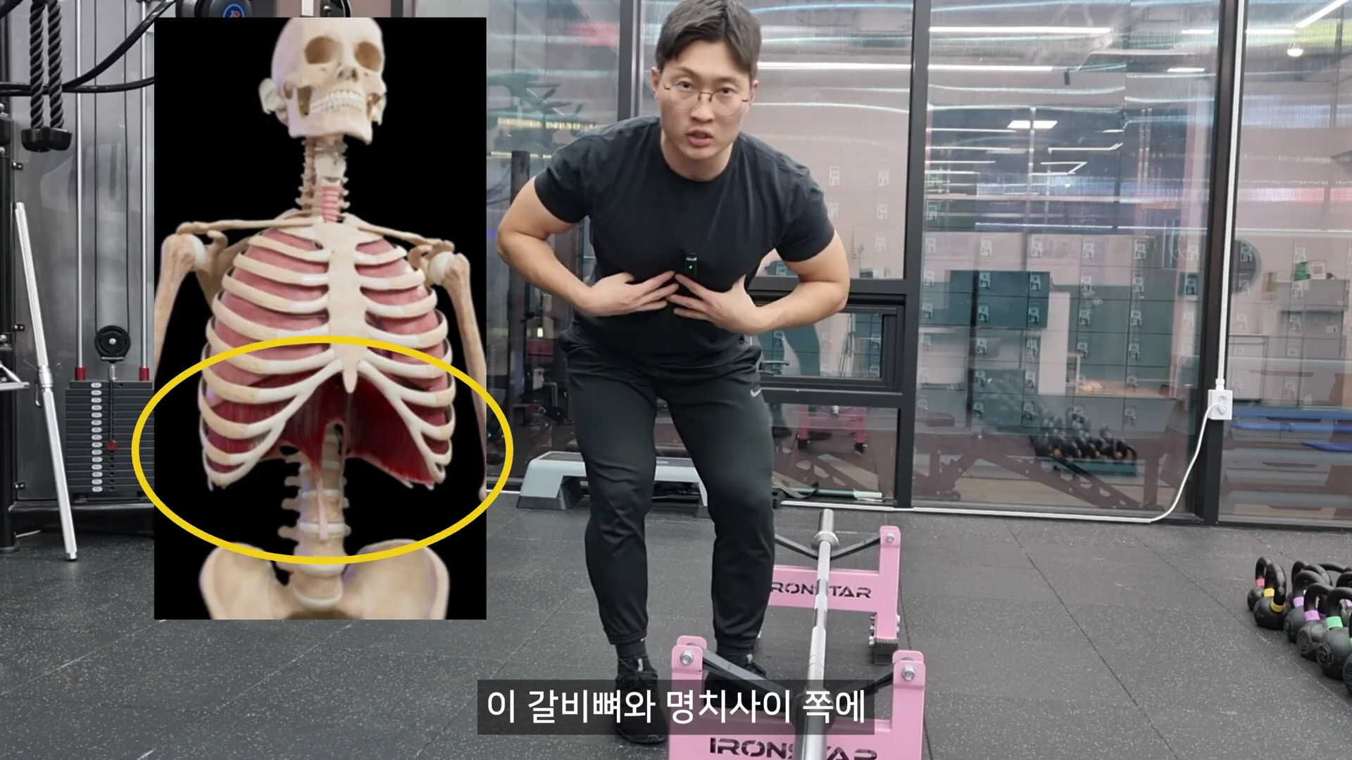 운동복 차림의 남성이 헬스장에서 자신의 명치와 갈비뼈 부위를 손으로 가리키고 있으며, 화면 왼쪽에는 흉곽과 횡격막 구조를 보여주는 인체 골격 모형 그래픽이 떠 있다.