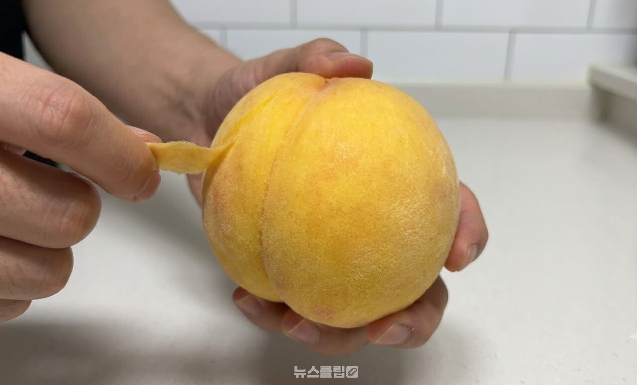 복숭아 껍질 벗기는 방법 / 기사 이해를 돕기 위한 AI 이미지