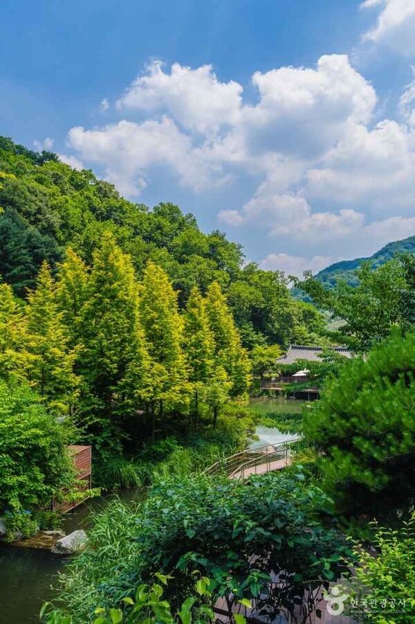 화담숲/사진-한국관광공사