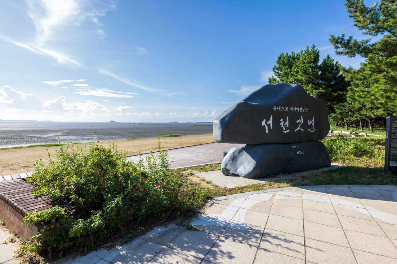 2026 장항 맥문동 꽃 축제 정보 / 사진=한국관광공사 포토코리아@김석태