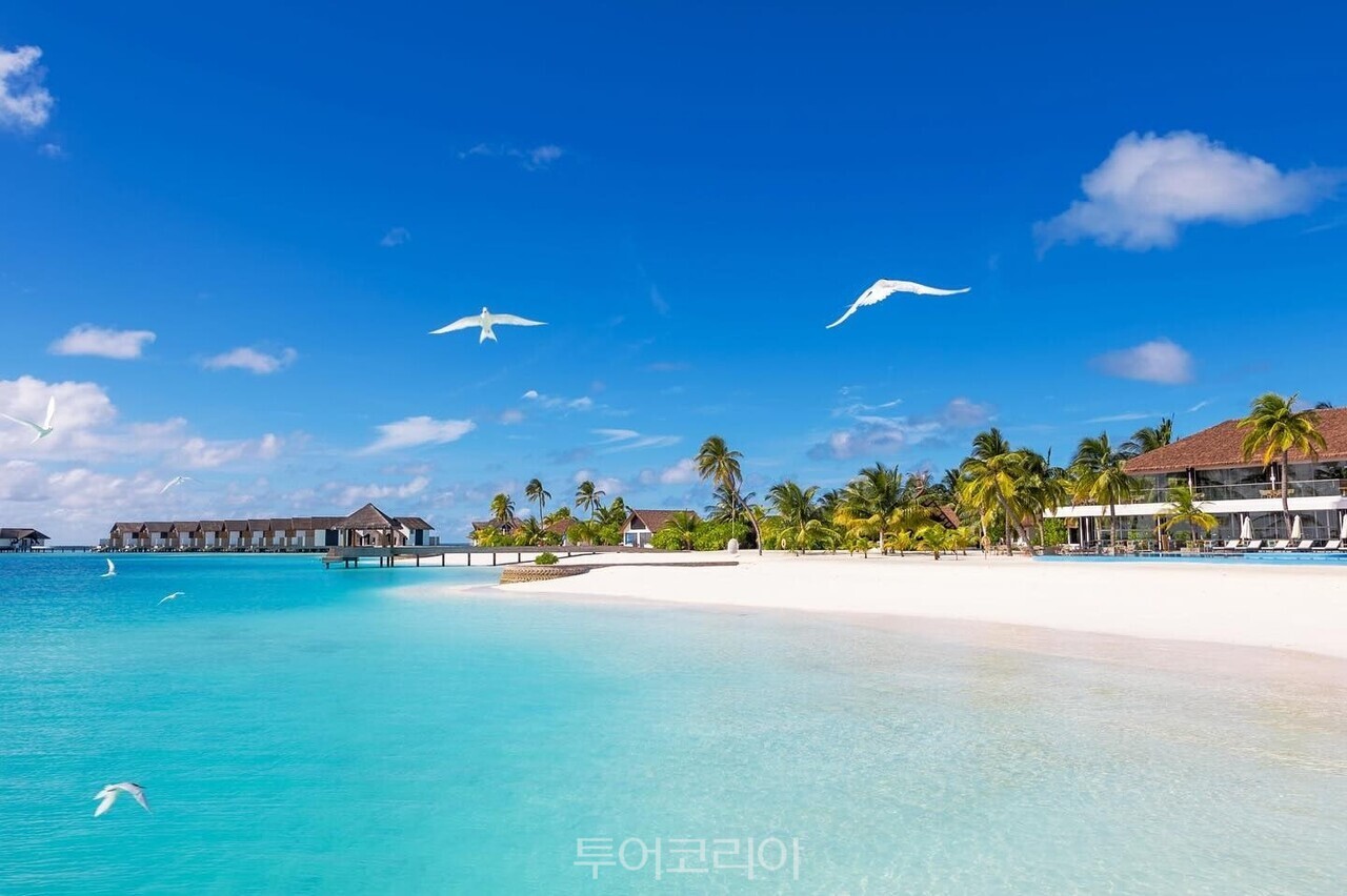 노이 쿠나바시 리조트 /사진-투어민