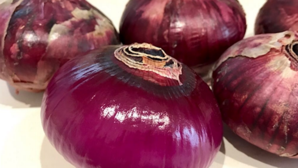 kankitsukeip