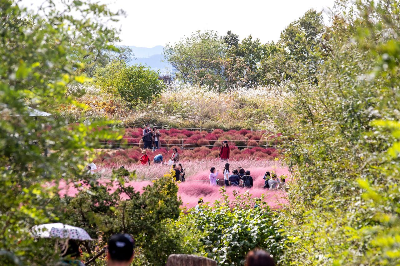 서울 하늘공원 / 한국관광콘텐츠랩-이범수