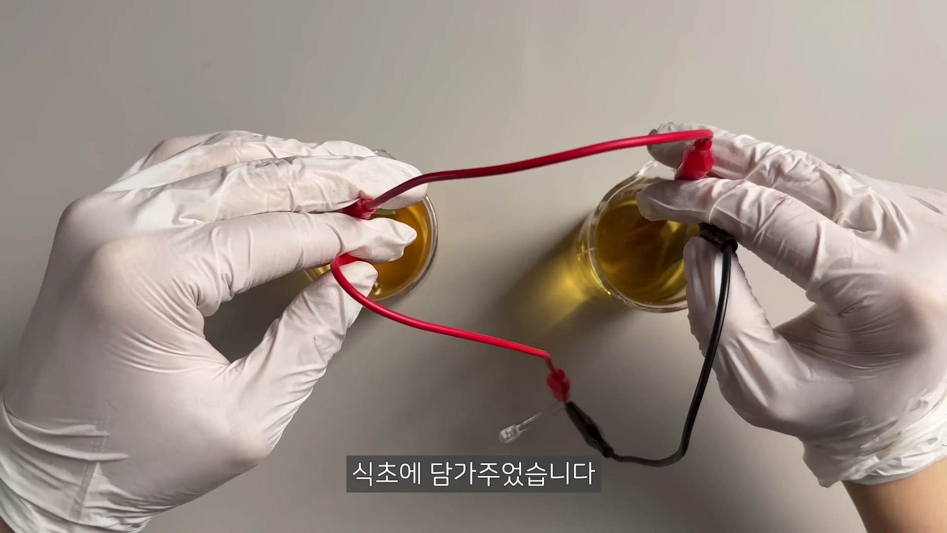 흰 장갑을 낀 두 손이 각각 전선이 연결된 금속 막대를 들고 식초가 담긴 두 개의 비커에 담그고 있는 모습이다.
