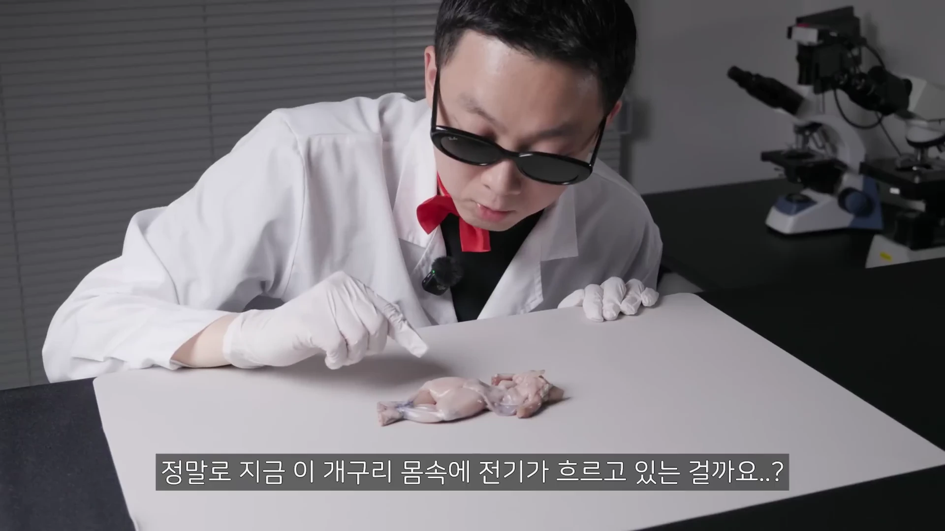흰색 실험 가운과 흰색 장갑을 착용한 남성이 탁자 위에 놓인 개구리 다리를 손가락으로 가리키며 살펴보고 있다.
