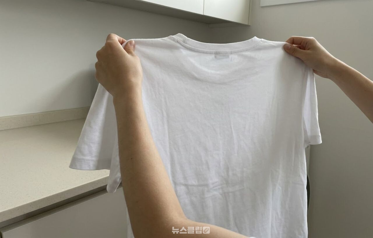 흰옷 김치 국물 얼룩 제거 / 기사 이해를 돕기 위한 AI 이미지
