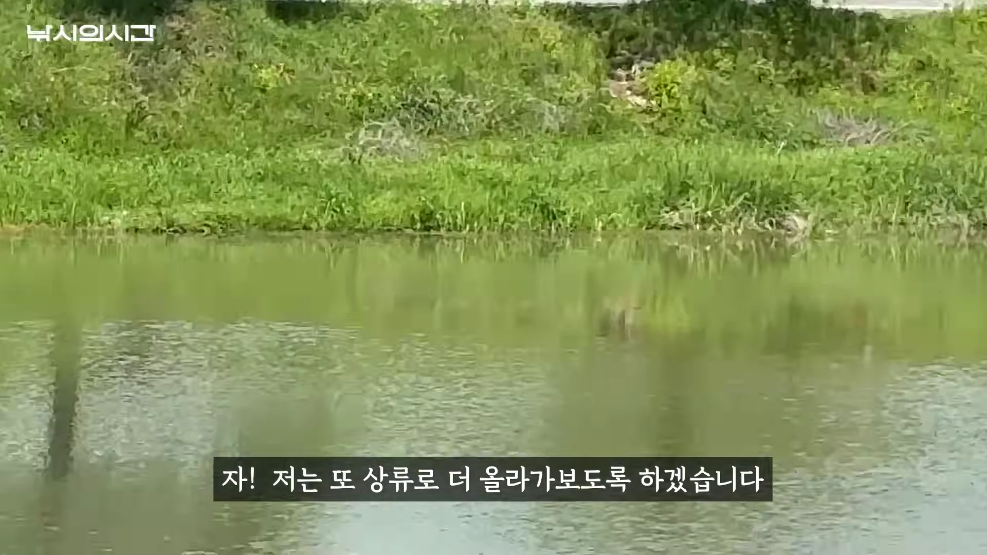 강가에 잔디와 수초가 우거진 하천의 풍경을 담은 영상 캡처 화면