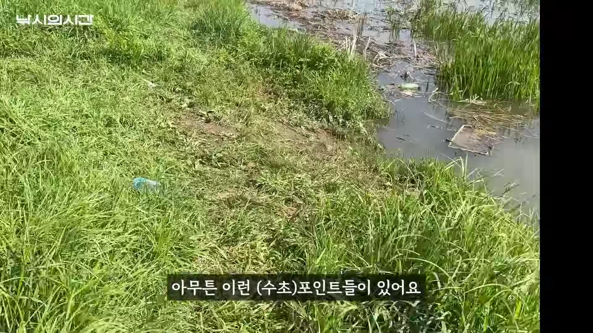 무성한 풀이 우거진 습지대 옆으로 맑은 강물이 흐르는 노지 낚시 포인트 전경