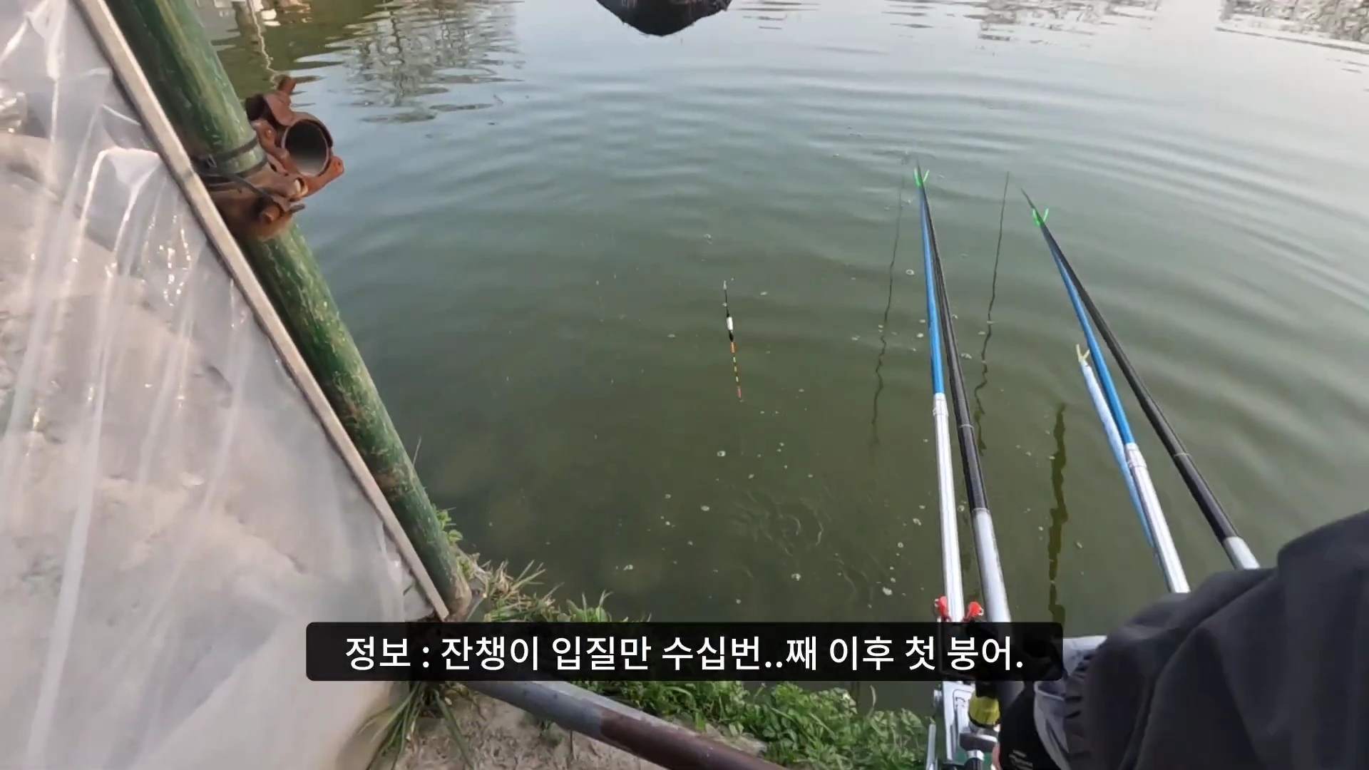 낚시터 물가에 낚싯대 세 대가 나란히 거치되어 있고, 찌가 물 위에 떠 있는 모습
