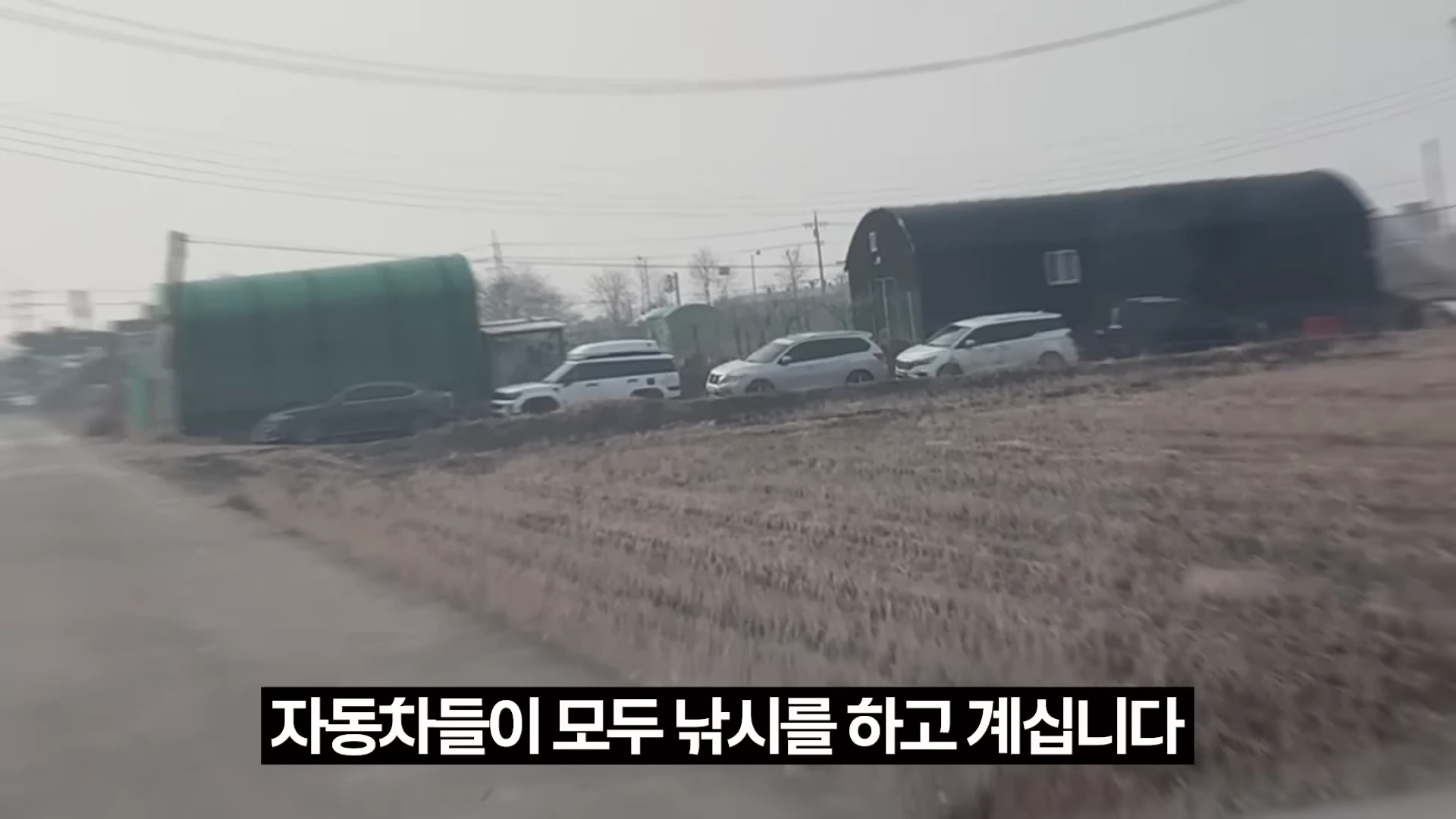 장월평천 인근 도로변에 낚시를 즐기기 위해 주차된 차량들이 길게 줄지어 서 있는 모습