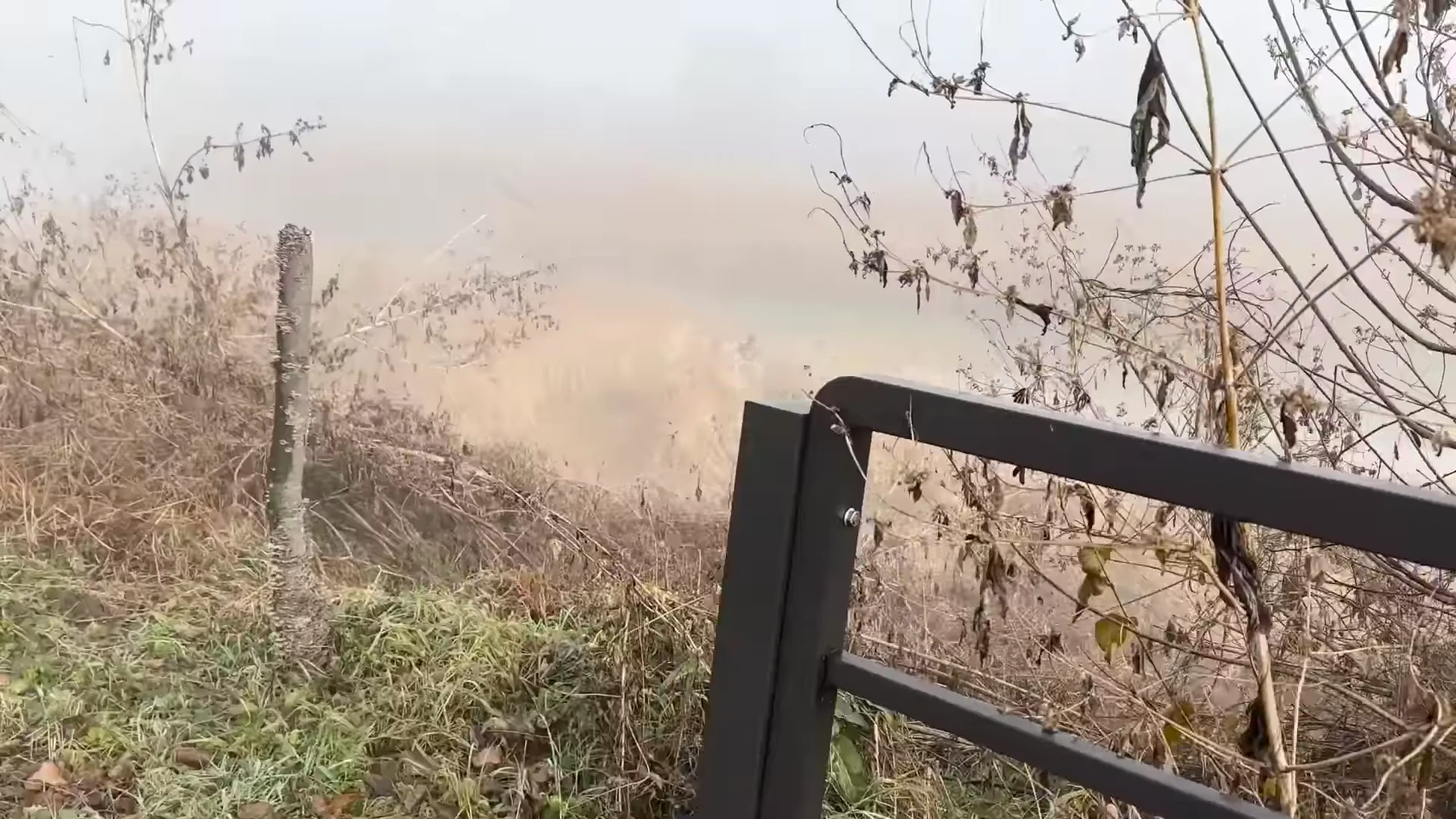 안개가 자욱하게 낀 겨울철 하천의 모습으로, 마른 갈대와 수풀 사이로 물가 풍경이 흐릿하게 보이고 오른쪽에는 검은색 금속 난간이 일부 나와 있습니다.