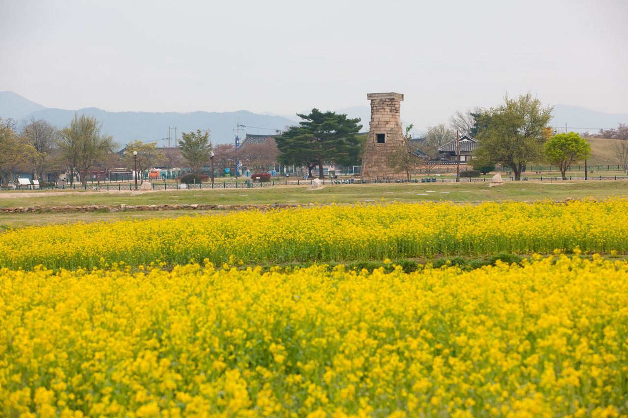 첨성대 / 한국관광콘텐츠랩-김지호