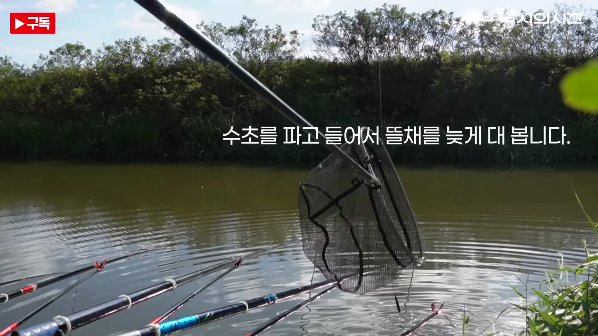 낚싯대 여러 대가 드리워진 수로에서 수초 부근을 향해 뜰채를 뻗고 있는 모습과 화면 중앙의 텍스트