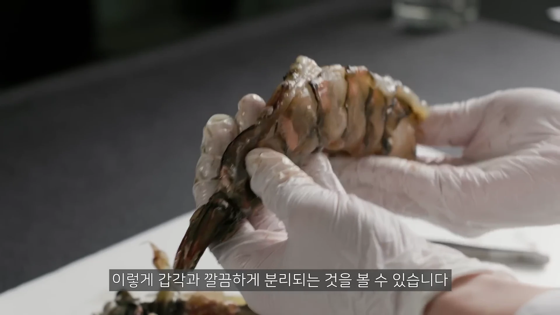 흰색 라텍스 장갑을 낀 양손이 껍질이 벗겨진 생새우의 복부 근육을 잡아당겨 갑각에서 분리하는 모습