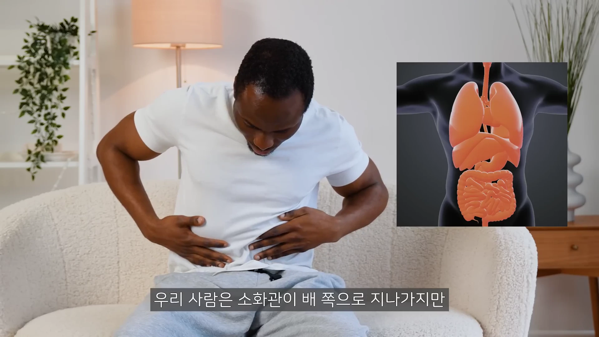 흰색 티셔츠를 입은 남성이 소파에 앉아 자신의 배를 만지고 있으며, 오른편에는 사람의 내부 장기 구조를 보여주는 그래픽이 배치되어 있습니다.