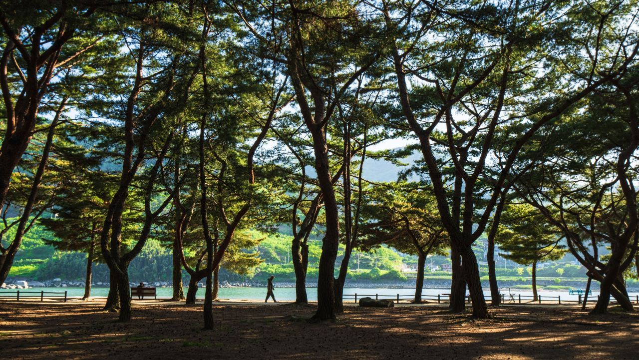 하동송림공원 / 한국관광콘텐츠랩-김지호