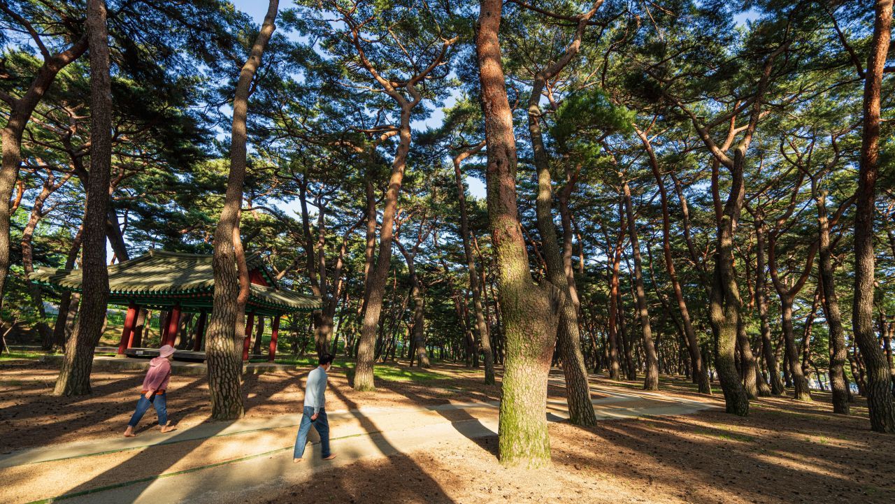 하동송림공원 / 한국관광콘텐츠랩-김지호