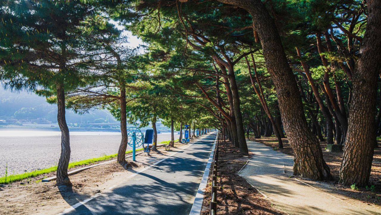 하동송림공원 / 한국관광콘텐츠랩-김지호
