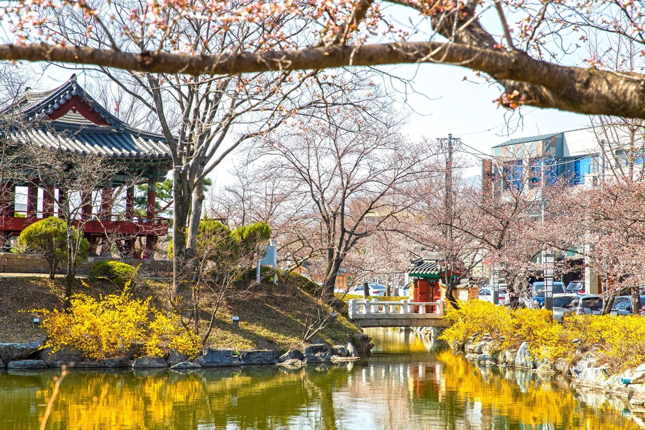 김천 연화지 / 한국관광콘텐츠랩-이범수