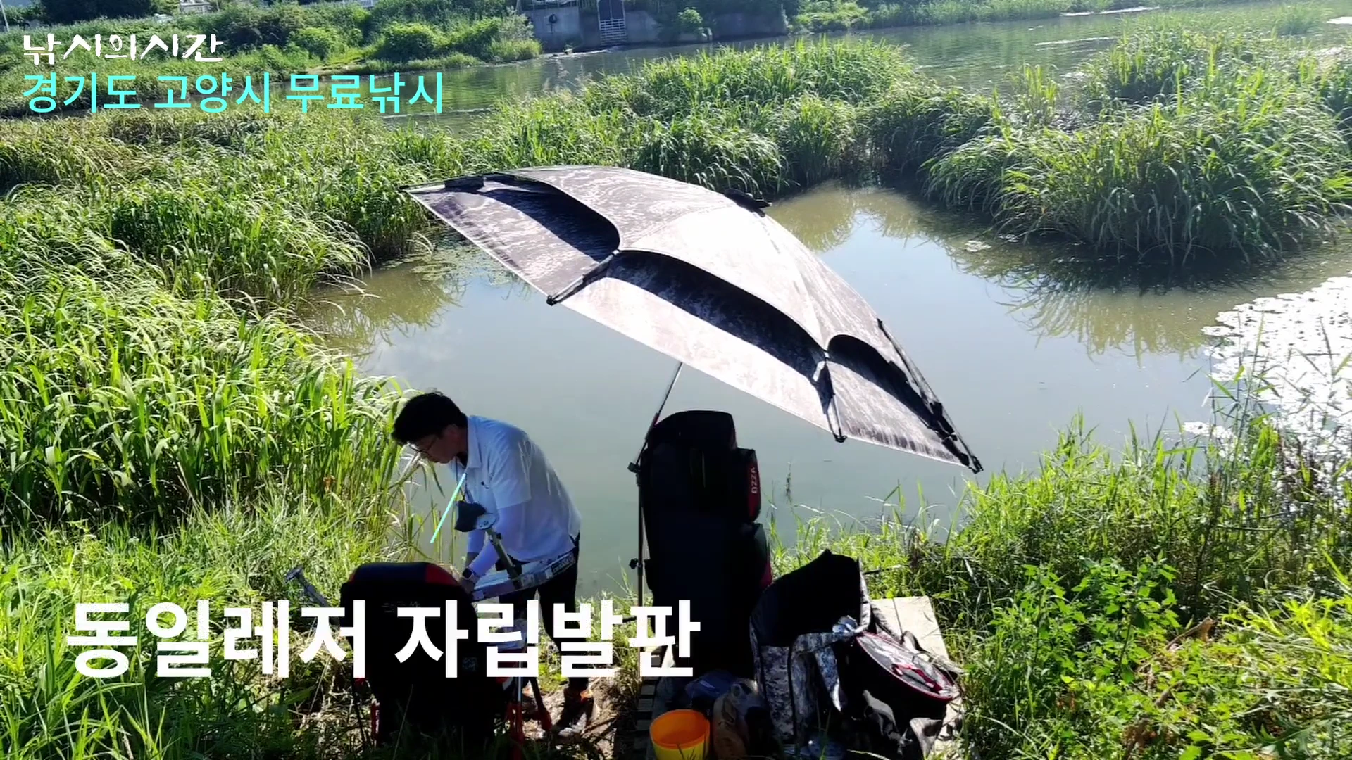 푸른 수초가 우거진 경기도 고양시의 한 낚시터에서 낚시꾼이 큰 우산을 쓰고 발판 위에 앉아 채비를 준비하고 있다.