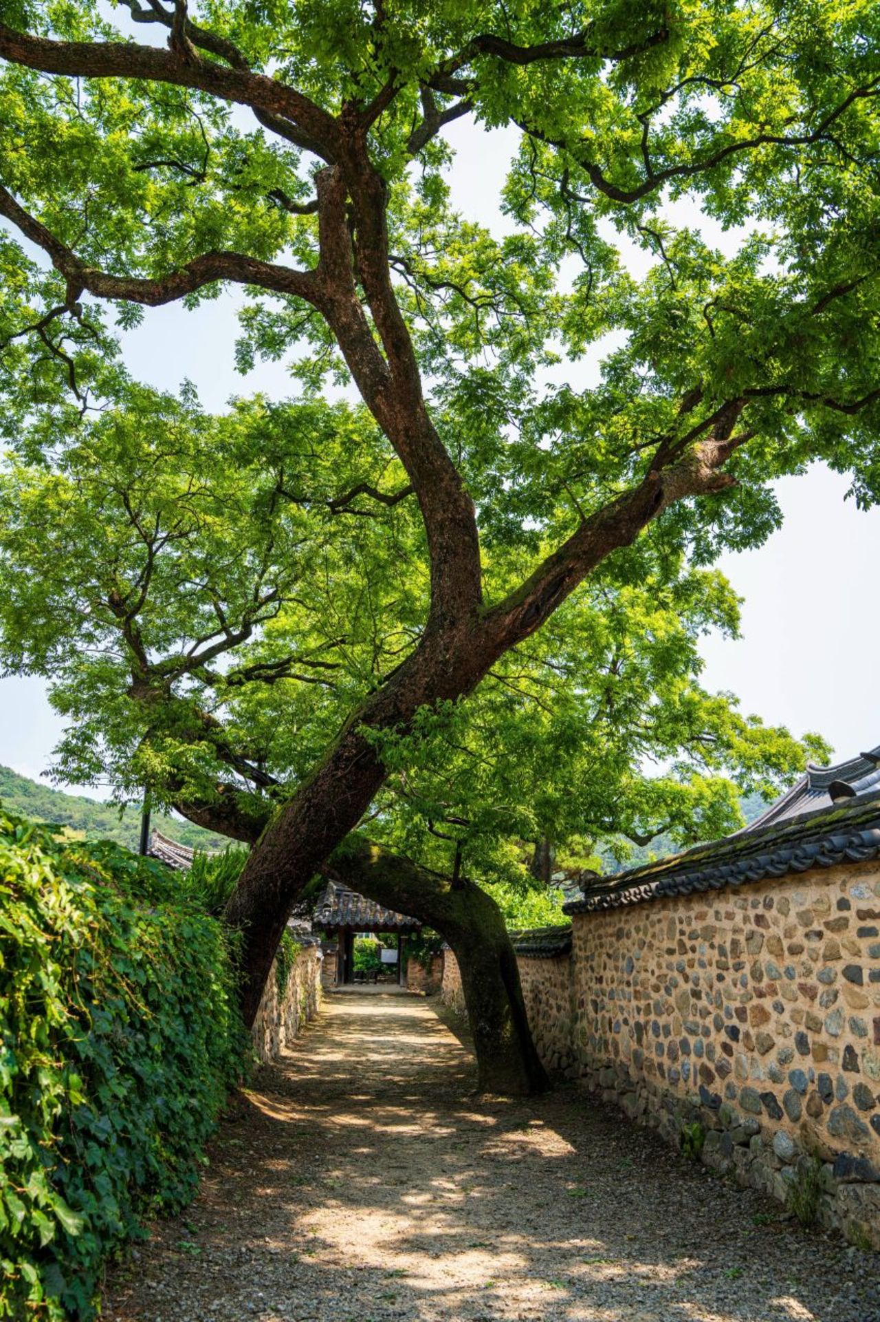 남사예담촌 / 한국관광콘텐츠랩-김지호