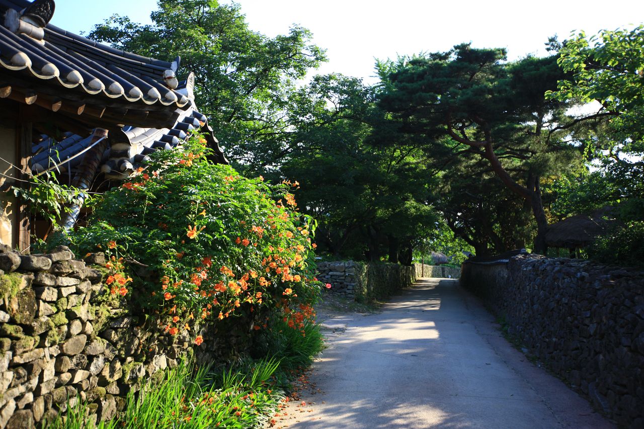 외암리민속마을 / 한국관광콘텐츠랩-김지호