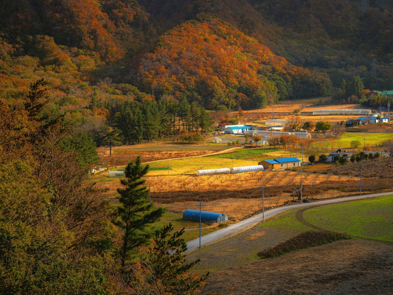 울릉도 / 한국관광콘텐츠랩-앙지뉴 필름