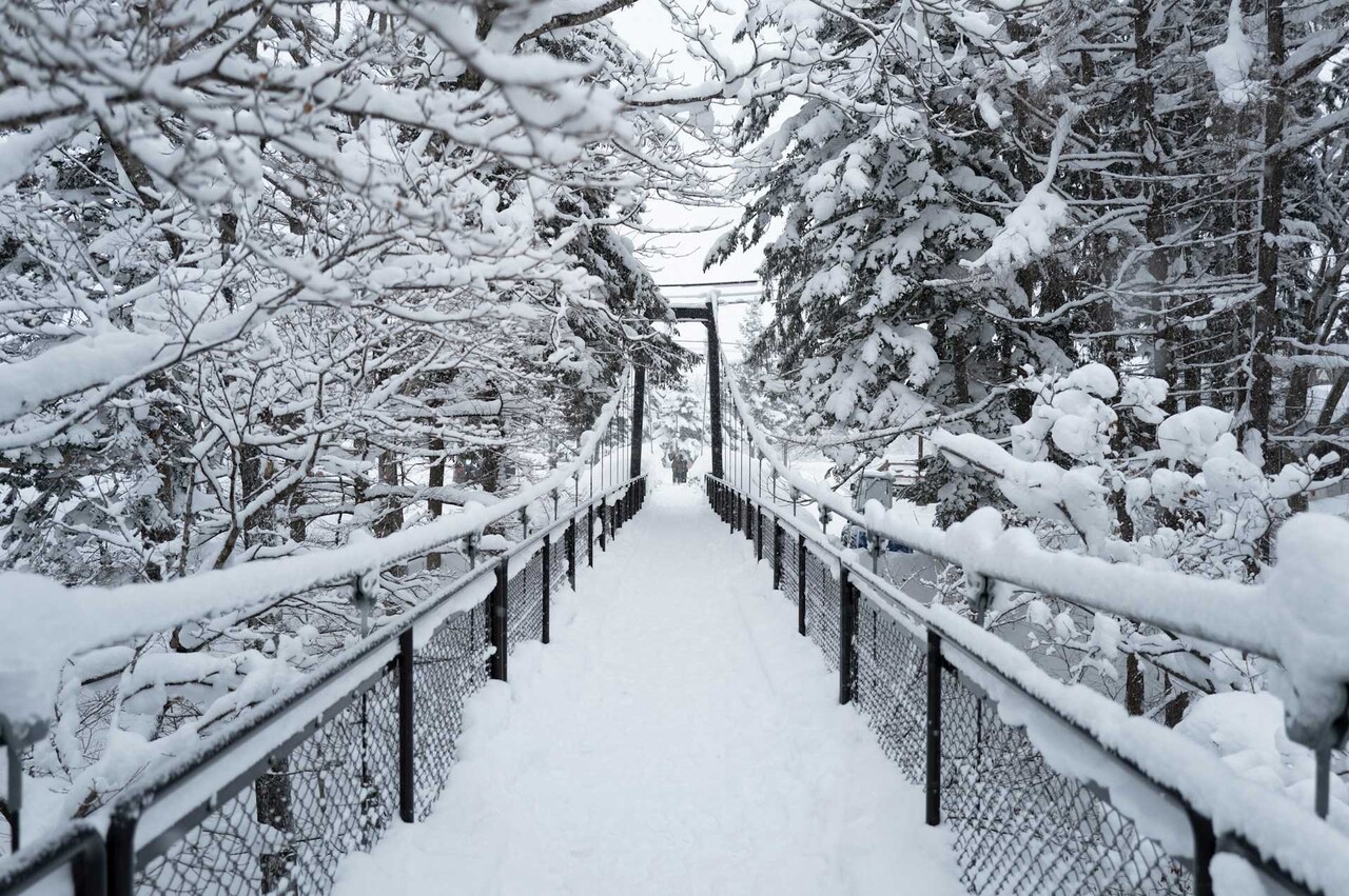 겨울이라면 홋카이도 니세코 추천 / 사진=unsplash