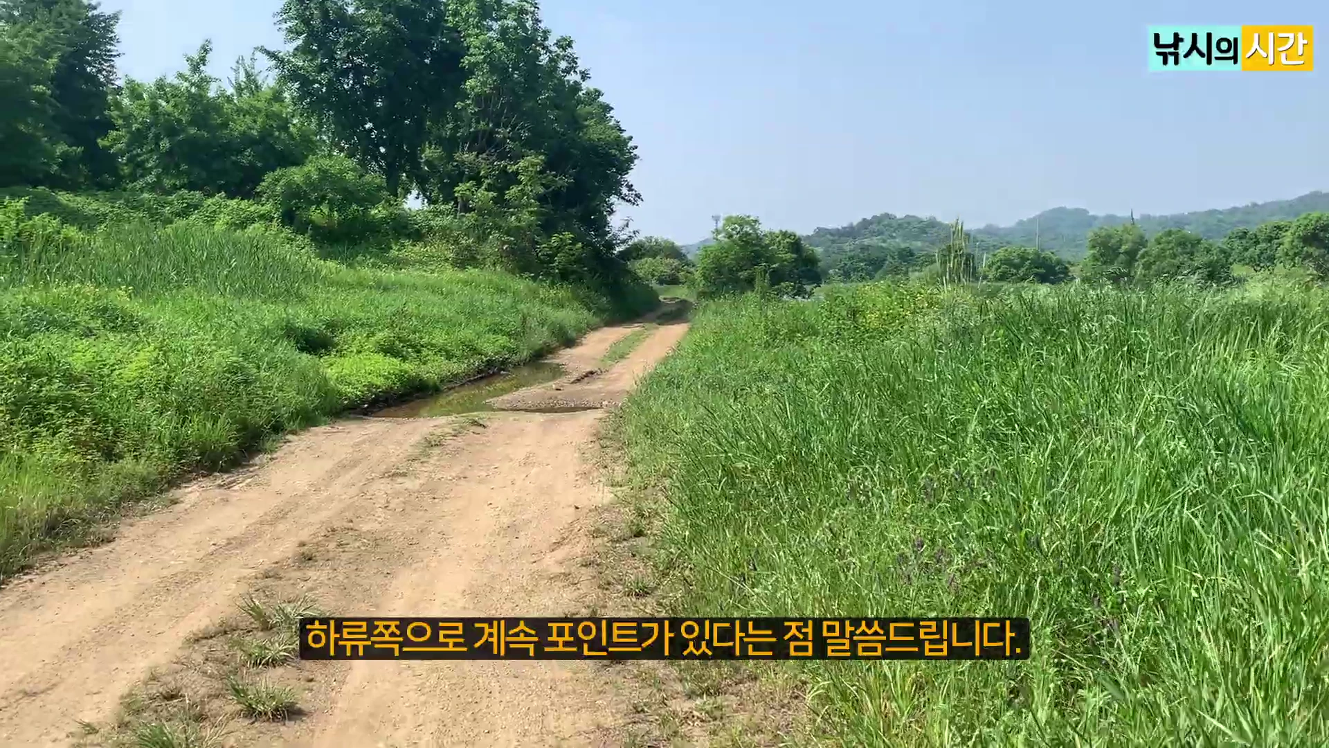 푸른 풀이 무성한 정안천 주변의 비포장도로가 뻗어 있고 도로 중앙에 웅덩이가 고여 있는 모습입니다.