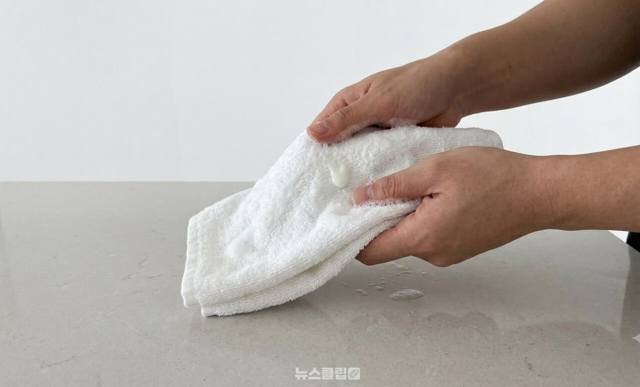 전자레인지 청소 / 기사 이해를 돕기 위한 AI 이미지