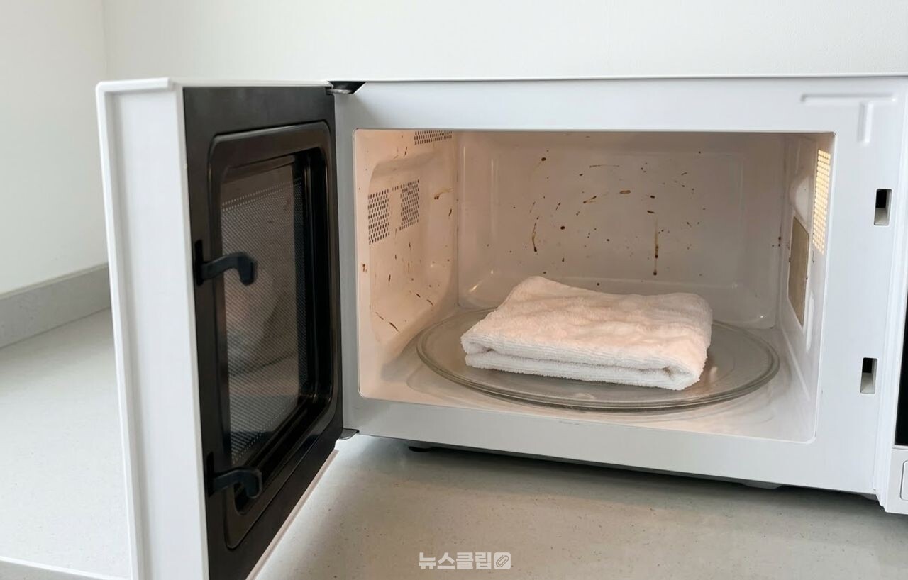 전자레인지 청소 / 기사 이해를 돕기 위한 AI 이미지