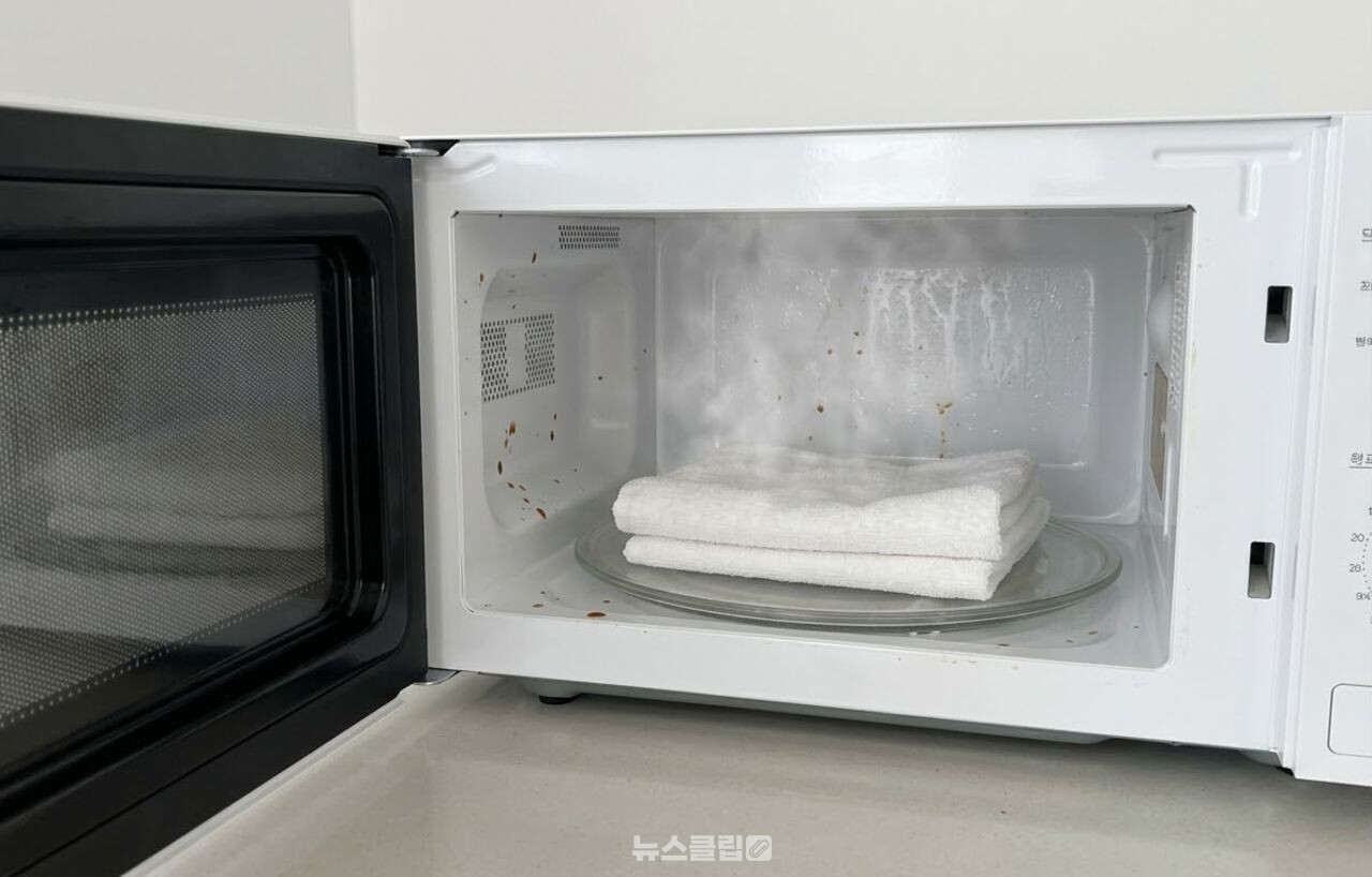 전자레인지 청소 / 기사 이해를 돕기 위한 AI 이미지