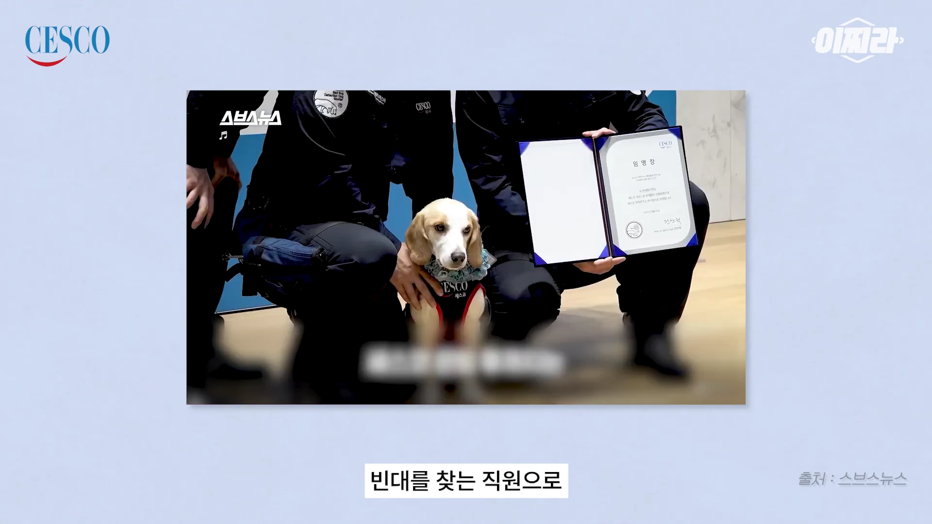 세스코 로고가 그려진 조끼를 입은 비글 한 마리가 사람들 사이에 앉아 있고, 한 사람이 비글을 위해 발급된 임명장을 들어 보이고 있는 모습입니다.