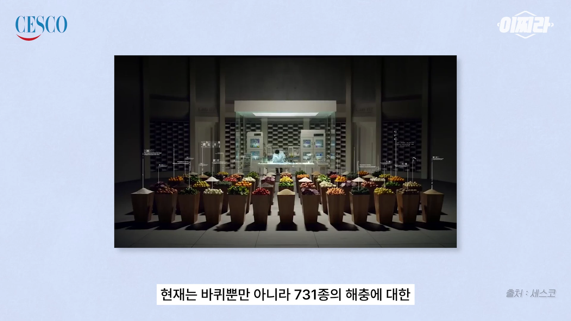 실험실 배경에 다양한 채소와 과일이 담긴 바구니들이 나란히 놓여 있고, 그 뒤로 연구원이 작업하는 모습이 보이는 영상 화면