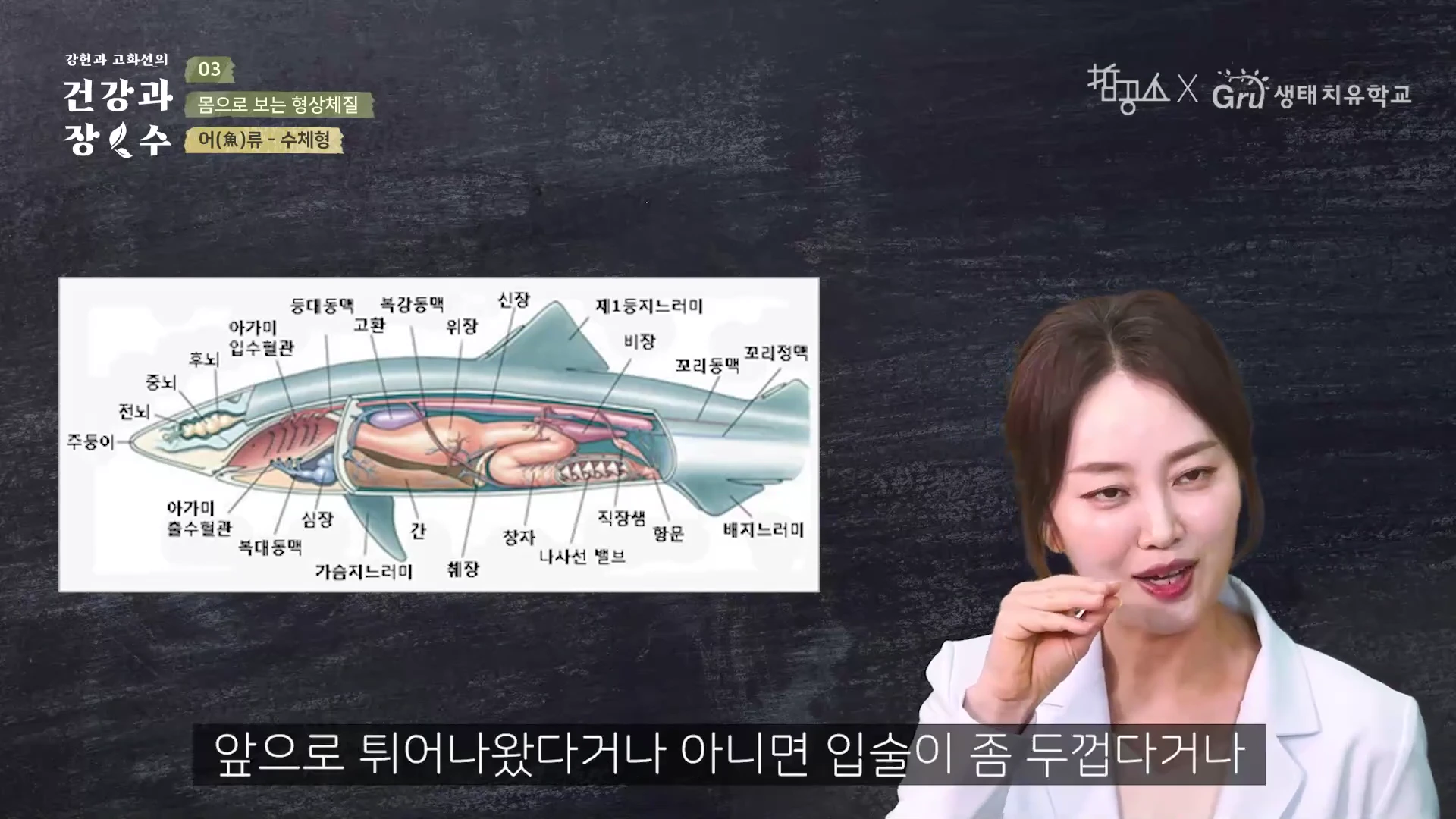 오른쪽에는 하얀색 정장을 입은 여성 발표자가 손으로 제스처를 하며 말하고 있고, 왼쪽에는 물고기의 내부 장기가 상세하게 묘사된 생물학적 해부도 자료가 화면에 나타나 있다.